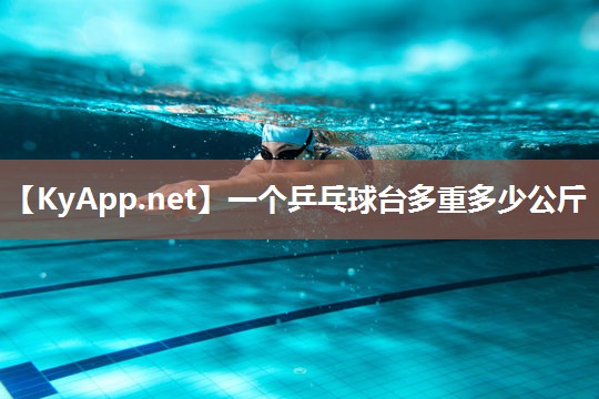 一个乒乓球台多重多少公斤