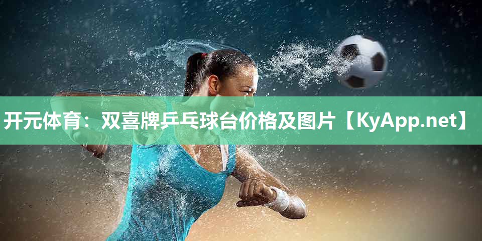 开元体育：双喜牌乒乓球台价格及图片