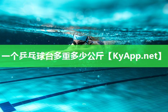 一个乒乓球台多重多少公斤