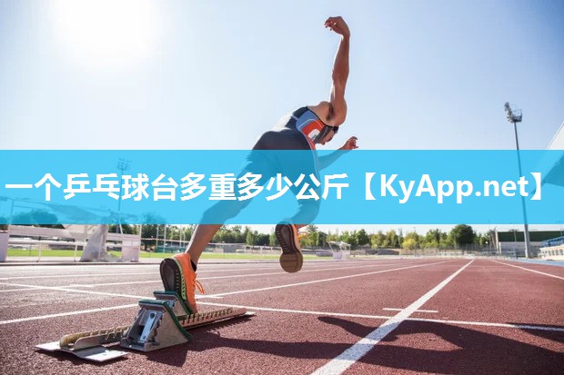 一个乒乓球台多重多少公斤