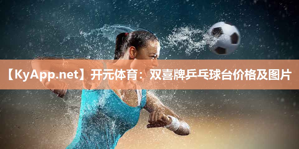 双喜牌乒乓球台价格及图片